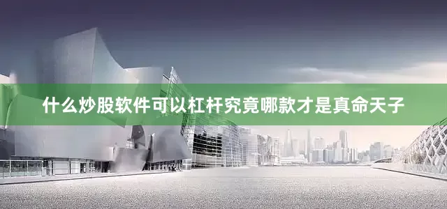什么炒股软件可以杠杆究竟哪款才是真命天子