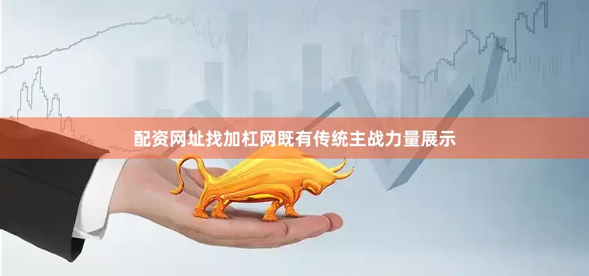 配资网址找加杠网既有传统主战力量展示