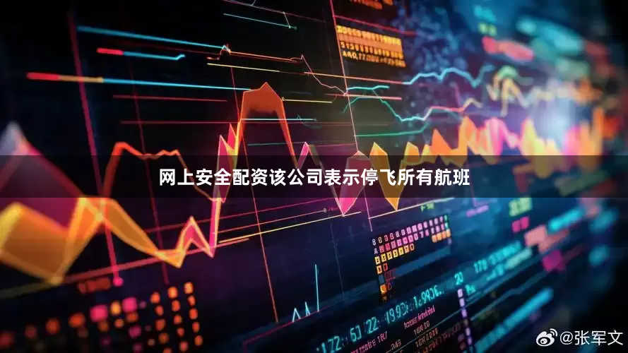 网上安全配资该公司表示停飞所有航班