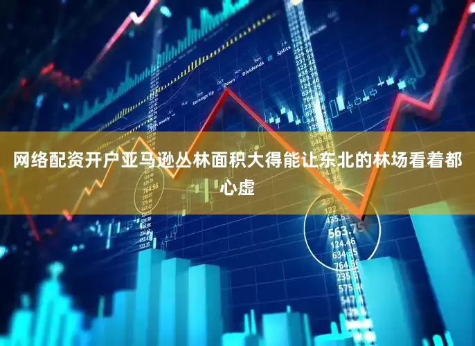 网络配资开户亚马逊丛林面积大得能让东北的林场看着都心虚