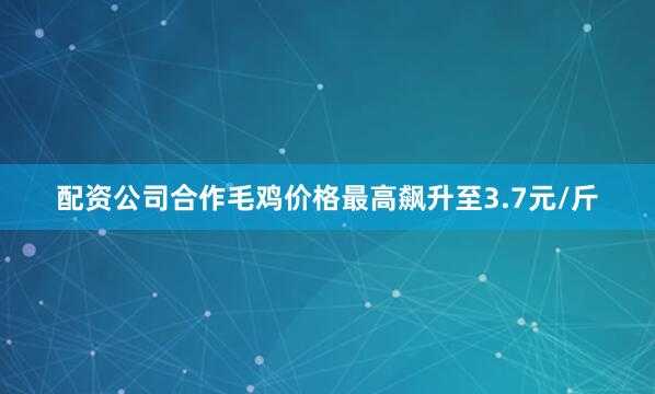 配资公司合作毛鸡价格最高飙升至3.7元/斤